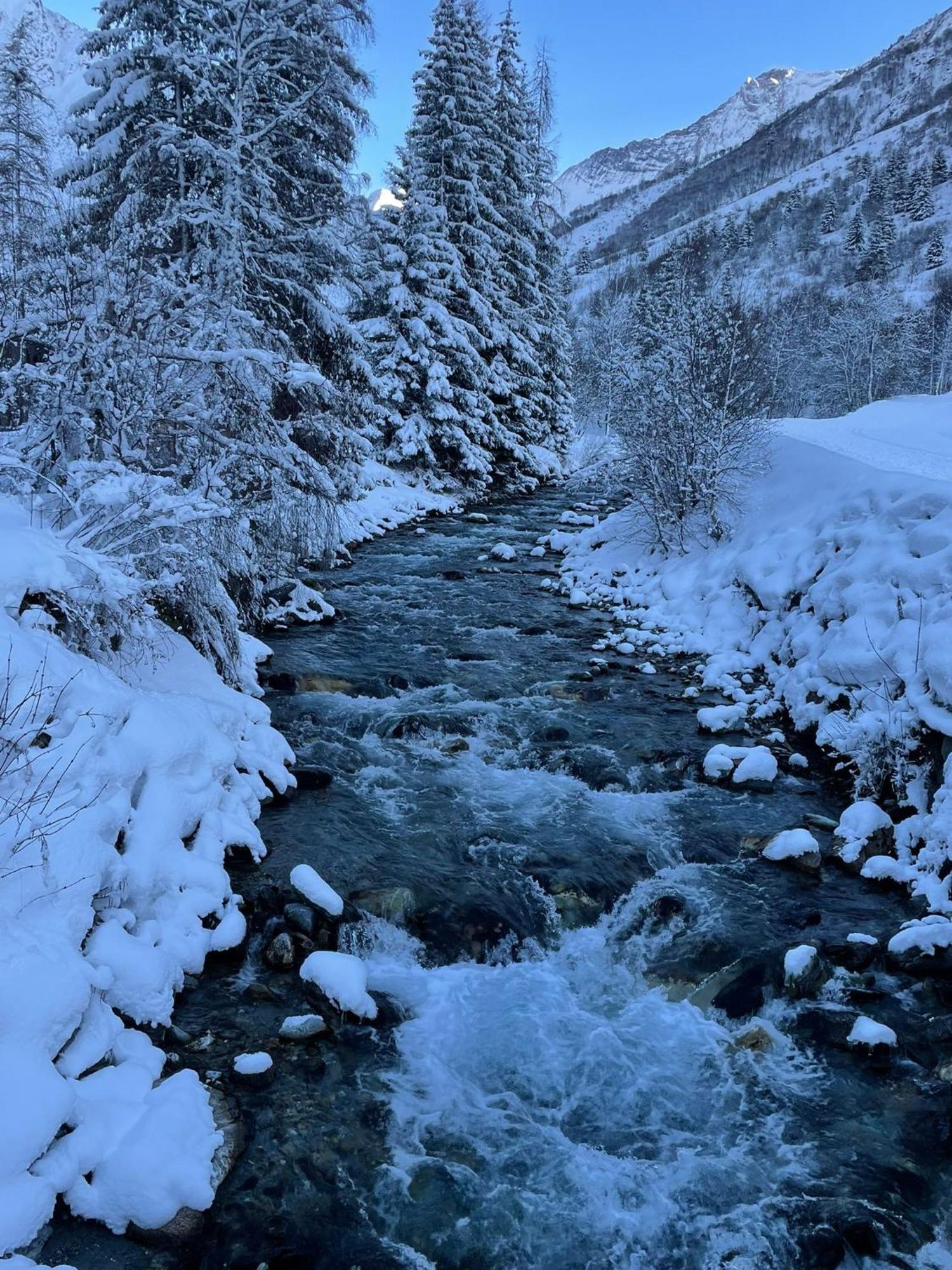 Chalet Les Avernes - Champagny En Vanoise, Domaine La Plagne Paradiski المظهر الخارجي الصورة